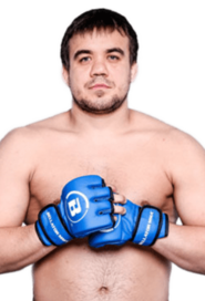 VLADIMIR FEDIN