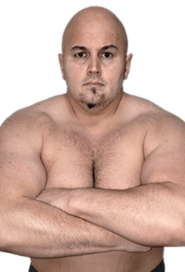 ADNAN AlIC