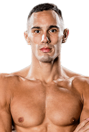 Vuk Lekic