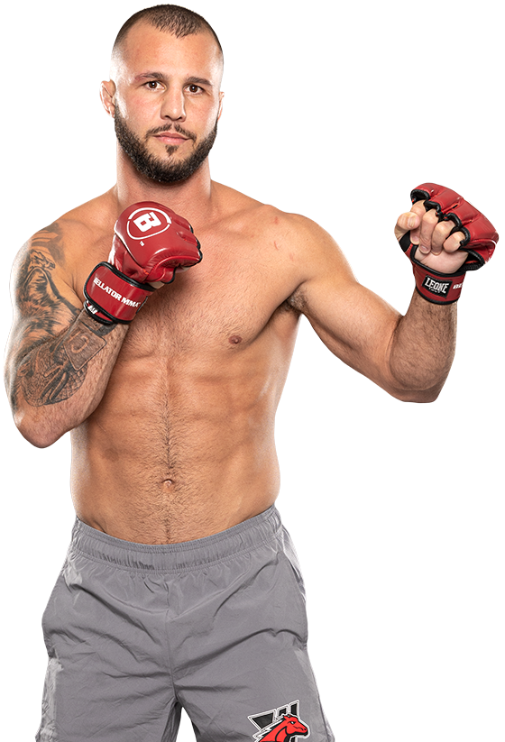 Mike Hamel