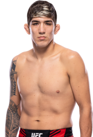 Rolando Bedoya