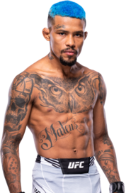 Mateus Mendonca