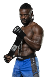 Magnus Onyeka Iversen