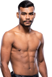 Raulian Paiva