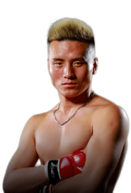 Shuai Song