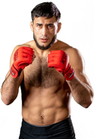 Valeriu Mircea